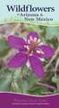 Wildflowers of Arizona and New Mexico