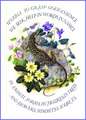 Marie Angel Lizard Inspirational Greeting Card [With 6 Envelopes]