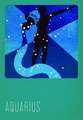 Aquarius Silk Screened Greeting Card