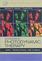 Advances in Photodynamic Therapy: Basic, Translational and Clinical