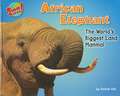 African Elephant: The World's Biggest Land Mammal