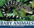 Baby Animals of the Wetlands