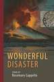 Wonderful Disaster