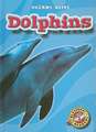 Dolphins