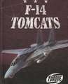 F-14 Tomcats