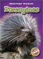 Porcupines