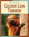 Gold Lion Tamarin