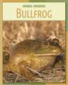 Bullfrog