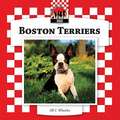 Boston Terriers