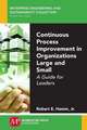 Continuous Process Improvement in Organizations Large and Small: A Guide for Leaders