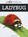 Ladybug