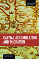 Capital Accumulation And Migration: Studies in Critical Social Sciences, Volume 46