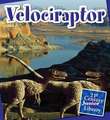 Velociraptor