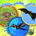 Corre, NADA, Vuela (Run, Swim, Fly)