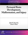 Perinatal Brain Development, Malformation, and Injury