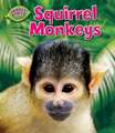 Squirrel Monkeys