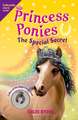 Princess Ponies 3: The Special Secret