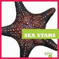 Sea Stars