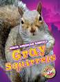 Gray Squirrels