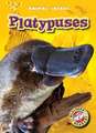 Platypuses