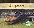 Alligators: Direct Sales/Network Marketing and Beyond Guide to Keeping Your Calendar Full