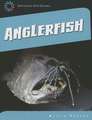 Anglerfish