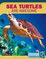 Sea Turtles Are Awesome