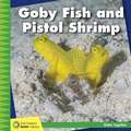 Goby Fish and Pistol Shrimp