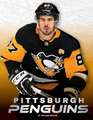 Pittsburgh Penguins