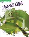 Chameleons