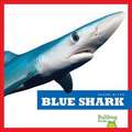 Blue Shark