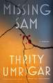 Missing Sam: A Novel
