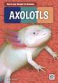 Axolotls