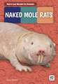 Naked Mole Rats