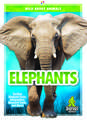 Elephants