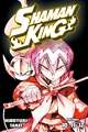 Shaman King Omnibus 4 (Vol. 10-12)