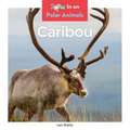 Caribou