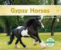 Gypsy Horses