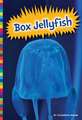 Box Jellyfish