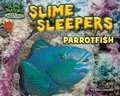 Slime Sleepers: Parrotfish