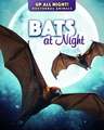 Bats at Night