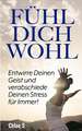 Fühl Dich Wohl: Entwirre Deinen Geist Und Verabschiede Deinen Stress Für Immer!: Deutsche Version Buch/Feeling Good German Version Boo