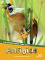 Anfibios: Amphibians