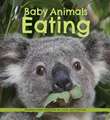 Baby Animals Eating