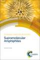 Supramolecular Amphiphiles