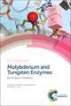 Molybdenum and Tungsten Enzymes: Bioinorganic Chemistry