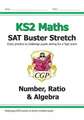 New KS2 Maths SAT Buster Stretch: Number, Ratio & Algebra (for tests in 2019)