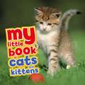 My Little Book of Cats and Kittens