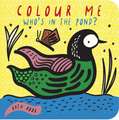 Colour Me