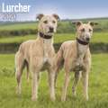 Lurchers - Lurcher 2020